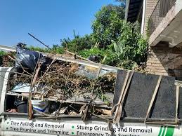 Demolition Debris Removal in Skippers Corner, NC